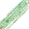 Natural Freshwater Shell Dyed Beads Strands SHEL-M018-13-03-1