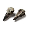 Crow Raven Bird Skull Resin Home Display Decoration RESI-A018-01A-2