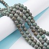 Natural Maifanite/Maifan Stone Beads Strands X-G-P451-01A-D-2