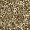Plated Glass Bugle Beads SEED-S046-01B-22-3