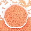 6/0 Luminous Glass Seed Beads SEED-NH0001-01D-4