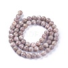 Natural Maifanite/Maifan Stone Beads Strands G-L500-03A-6mm-3