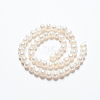 Natural Cultured Freshwater Pearl Beads Strands A02S7013-3