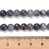 Natural Iolite Beads Strands G-G300-A04-6mm-5