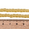 Transparent Frosted Glass Beads Strands GLAA-N072-01A-A03-4