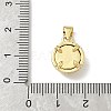 Brass Resin Pendants KK-H079-02A-G01-3