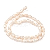 Natural Cultured Freshwater Pearl Beads Strands PEAR-D003-01D-16-3