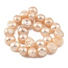 Natural Cultured Freshwater Pearl Beads Strands PEAR-A006-08B-3