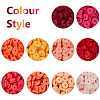 Handmade Polymer Clay Beads CLAY-PH0001-22B-6mm-4