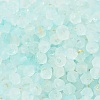 Frosted Glass Beads FGLA-D300-01B-3