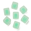 Frosted Acrylic European Beads OACR-G012-14B-1