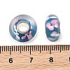 Lampwork & Brass Core European Beads LAMP-P019-01P-17-3