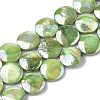 Freshwater Shell Beads Strands SHEL-S274-52B-1