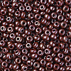 6/0 Czech Opaque Glass Seed Beads SEED-N004-003D-14-4