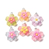 Transparent Resin Pendants RESI-A046-05A-2