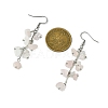 4 Pairs 4 Styles Natural Mixed Stone & Synthetic Turquoise Dangle Earrings for Women EJEW-TA00553-5