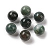 Natural Indian Agate No Hole Sphere Beads G-K353-04B-09-1