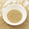 MIYUKI Delica Beads SEED-JP0008-DB0034-2