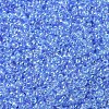 MIYUKI Round Rocailles Beads SEED-G007-RR0299-3