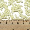 Macaron Color Opaque Frosted Glass Seed Beads X1-SEED-K009-12B-15-4