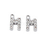 304 Stainless Steel Charms X-STAS-N095-137M-1