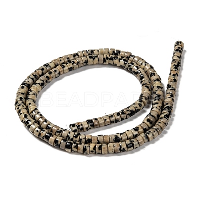 Natural Dalmatian Jasper Beads Strands G-L528-10-1