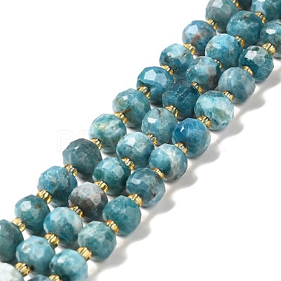 Natural Apatite Beads Strands G-P508-A15-01-1