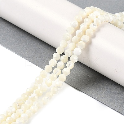 Natural Shell Beads Strands SSHEL-E571-38B-4mm-1
