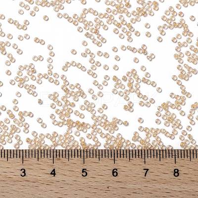 MIYUKI Round Rocailles Beads X-SEED-G009-RR0282-1