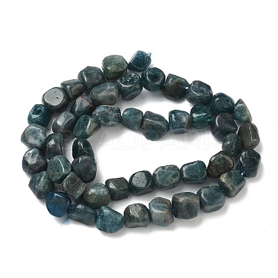 Natural Apatite Beads Strands G-R445-8x10-24A-1
