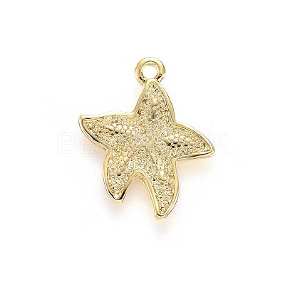 Alloy Pendants TIBEP-A040-037G-NR-1