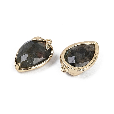 Natural Labradorite Faceted Pendants G-M431-06G-12-1