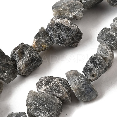 Natural Labradorite Beads Strands G-S386-B04-1