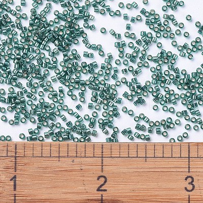 MIYUKI Delica Beads SEED-X0054-DB0607-1
