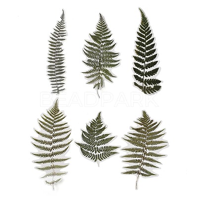 6Pcs Plant PET Adhesive Waterproof Stickers DIY-K074-01E-1