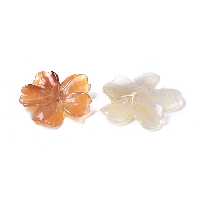 Natural Agate Butterfly Pendant G-Q164-20-1