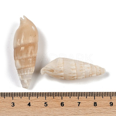 Natural Spiral Shell Pendants SHEL-K009-17B-1