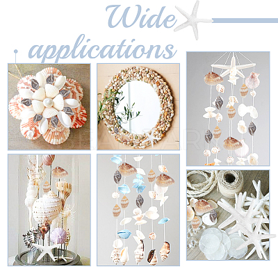 Natural Shell & Starfish Resin Cabochons Decorations SHEL-AR0001-13-1