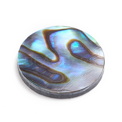 Natural Abalone Shell/Paua Shell Cabochons SSHEL-L017-001-1