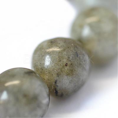 Natural Labradorite Round Bead Strands G-E334-10mm-19-1