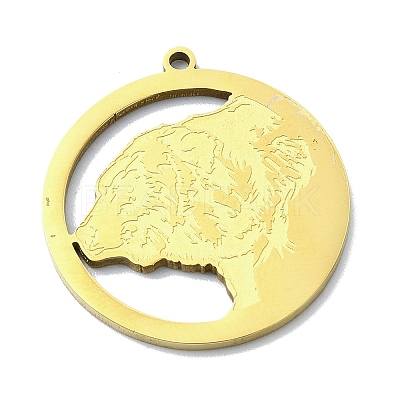 201 Stainless Steel Pendants STAS-R118-04G-1