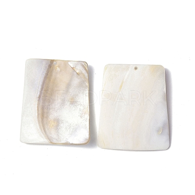 Freshwater Shell Big Pendants SHEL-C003-08-1