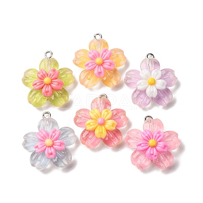 Transparent Resin Pendants RESI-A046-05A-1