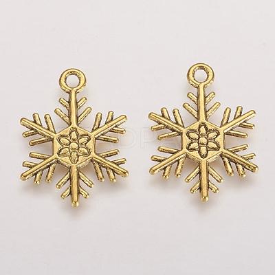 Tibetan Style Alloy Pendants TIBEP-3264-AG-NR-1