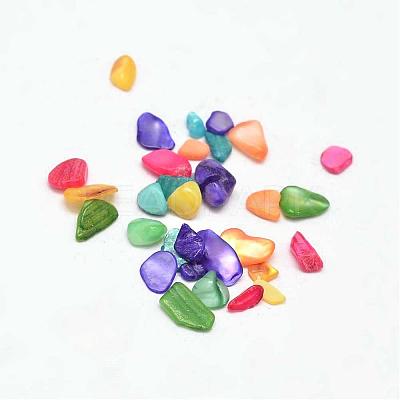 Dyed Natural Freshwater Shell Chip Beads BSHE-L010-02-1
