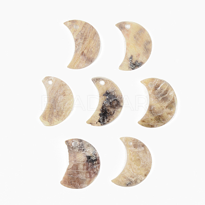 Natural Akoya Shell Pendants X-SHEL-R048-026-1