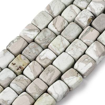 Natural Variscite Beads Strands G-D098-D09-1
