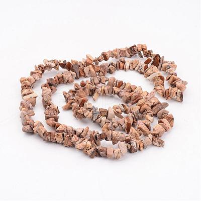 Natural Picture Jasper Chips Beads Strands F002-1