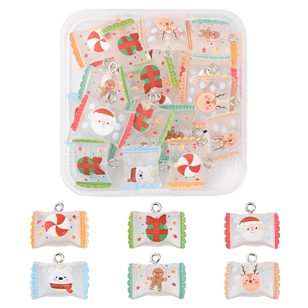 24Pcs 6 Colors Christmas Theme Transparent Resin Imitation Food Pendants RESI-FS0001-42-1