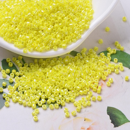 MIYUKI Delica Beads SEED-MY11-DB0160-1